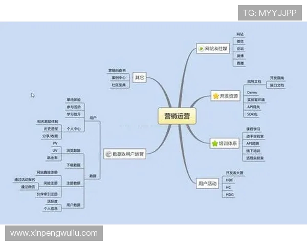 上海羽毛球队节奏表现数据分析与战术优化探讨