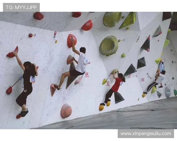 北京攀岩队的团队协作探索与实践：挑战极限的精神与合作之道