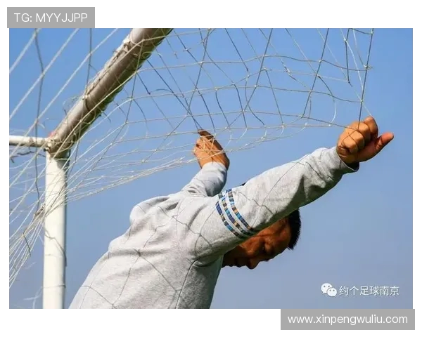 南京羽毛球队近期状态分析与联赛表现评估