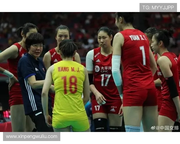 成都排球队在全国排球节奏排行榜中荣登第五名引发热议