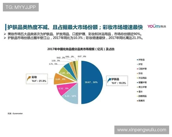 杭州极限运动队区域防守创新之路探秘与实践分析