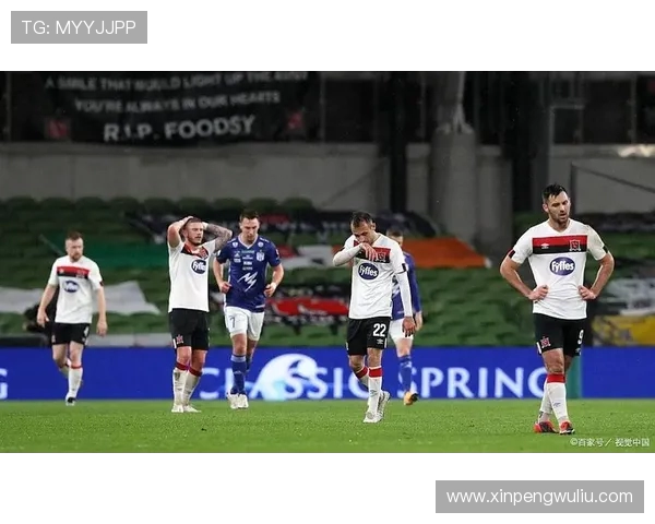 墨尔本与惠灵顿对决精彩回顾及比分分析12月28日赛事情况