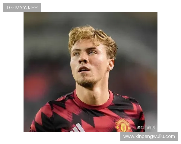 霍伊伦的传奇人生与不屈精神探索之旅