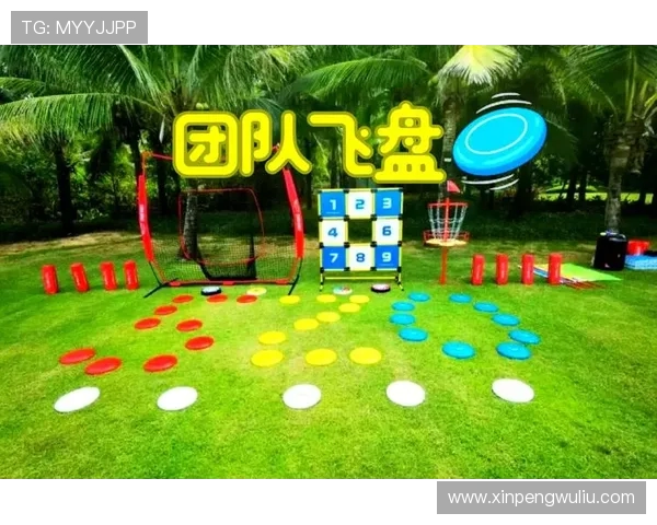 飞盘飞向世界杭州队的极限运动成长之路与荣耀追逐