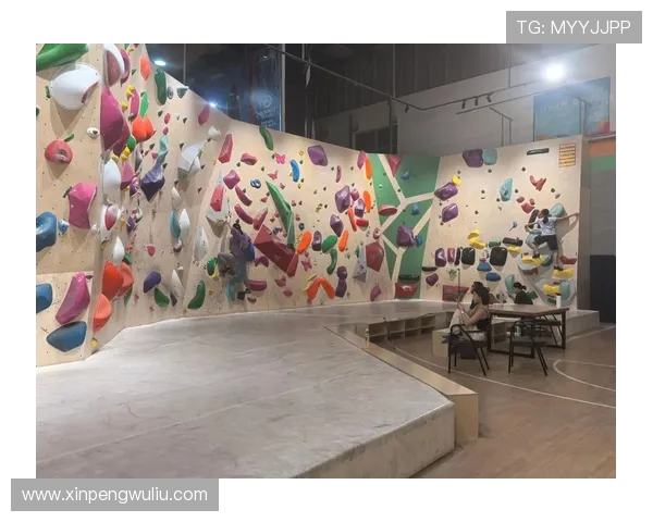 成都攀岩队与武汉攀岩队实力对比赛后分析与总结