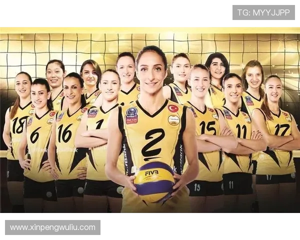西安排球队实力强劲排球个人能力排行榜揭晓第5名位置