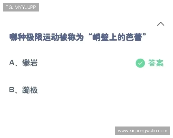 南京极限运动队包夹战术分析与得失总结探讨