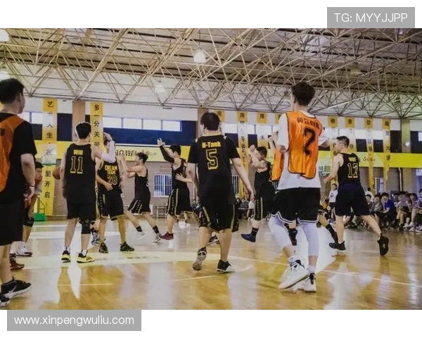 成都篮球队的崛起与挑战全景分析及未来发展展望